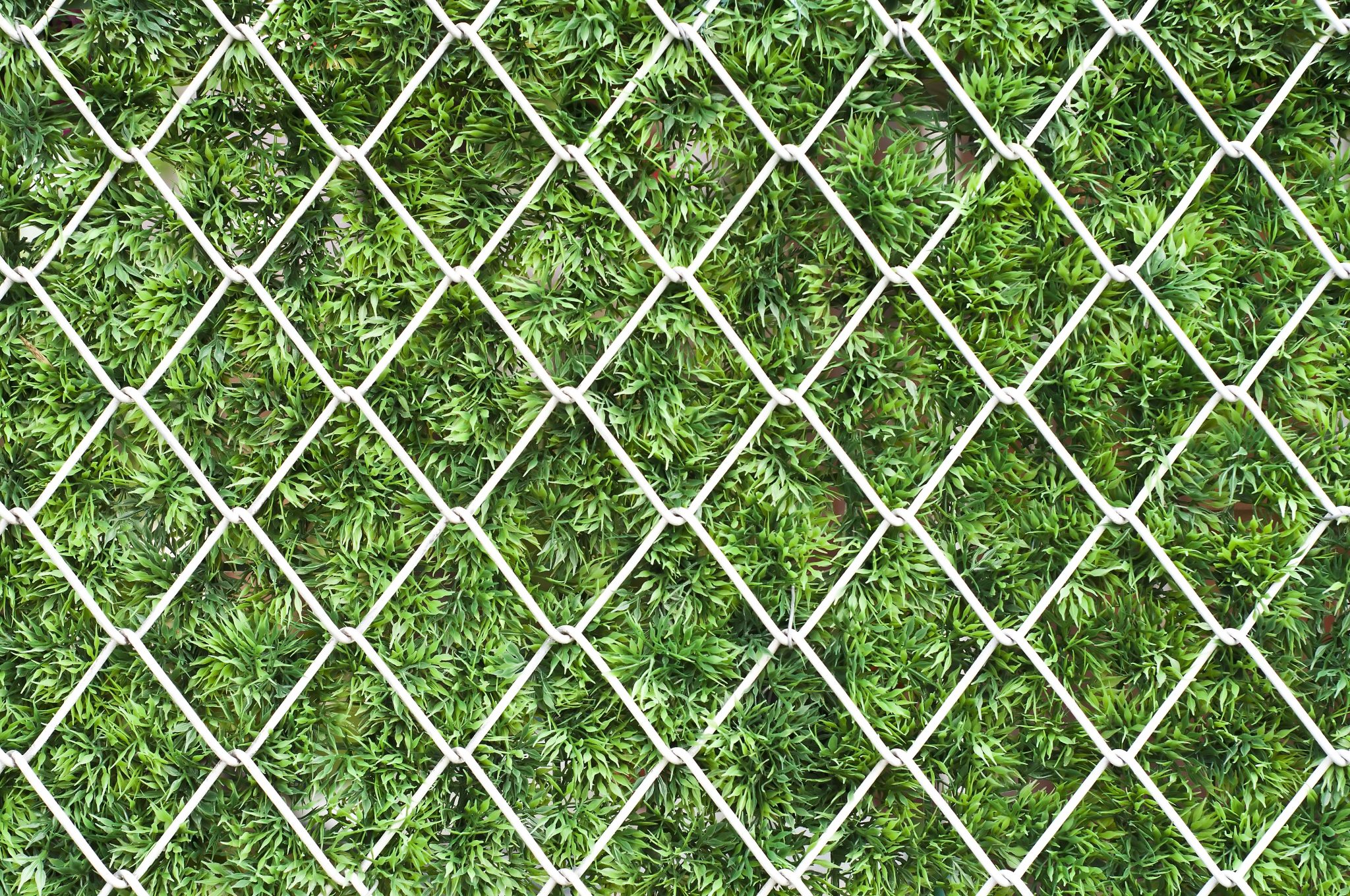 Improve Privacy - Okanagan Fences | Quality Chain Link Fencing