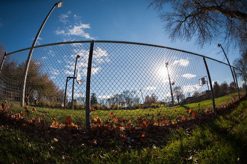 Read more on Security Fencing: Protect Your Property